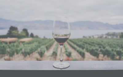 Why Your Winery’s Website NEEDS To Be Responsive